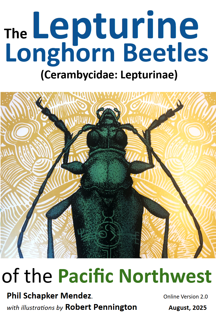 Front cover of The Lepturine Longhorn Beetles of the Pacific Northwest
