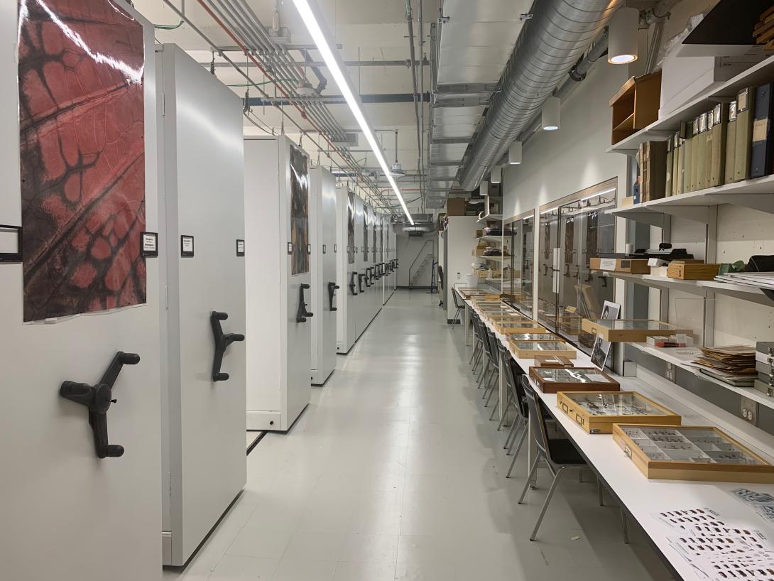 View inside main repository showing recently acquired compactor system and workstations