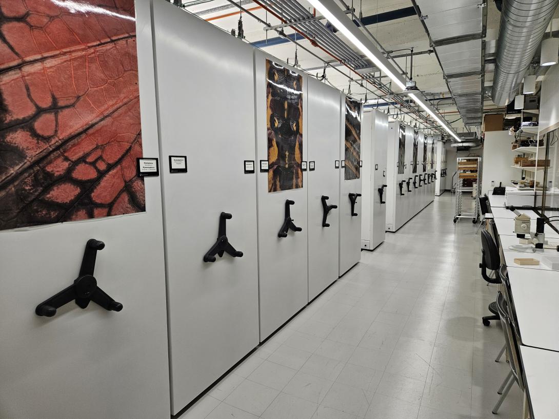 View of OSAC's newly remodeled repository